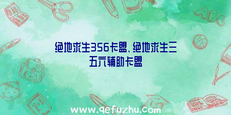 绝地求生356卡盟、绝地求生三五六辅助卡盟