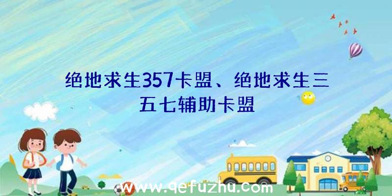 绝地求生357卡盟、绝地求生三五七辅助卡盟