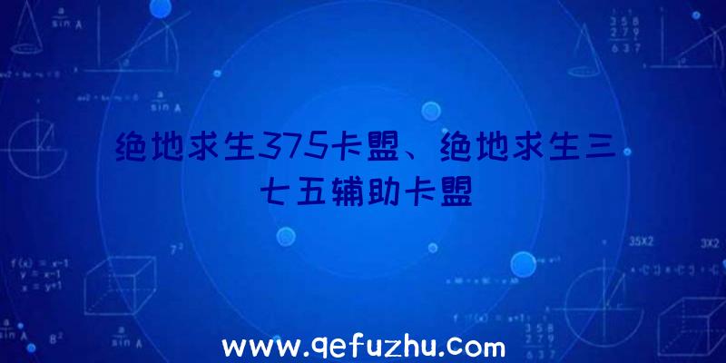 绝地求生375卡盟、绝地求生三七五辅助卡盟