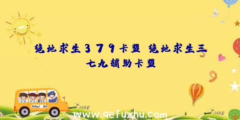 绝地求生379卡盟、绝地求生三七九辅助卡盟