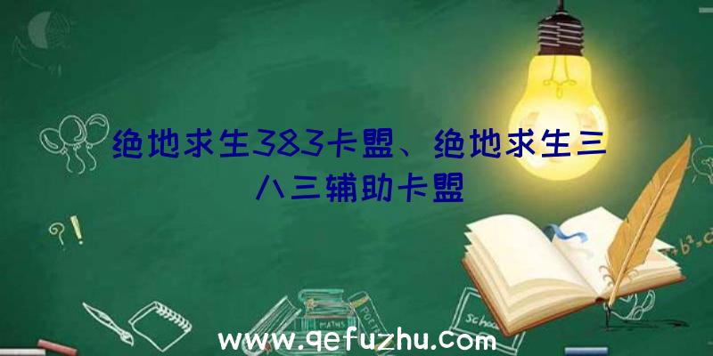 绝地求生383卡盟、绝地求生三八三辅助卡盟