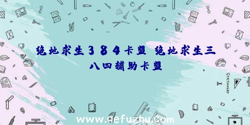 绝地求生384卡盟、绝地求生三八四辅助卡盟