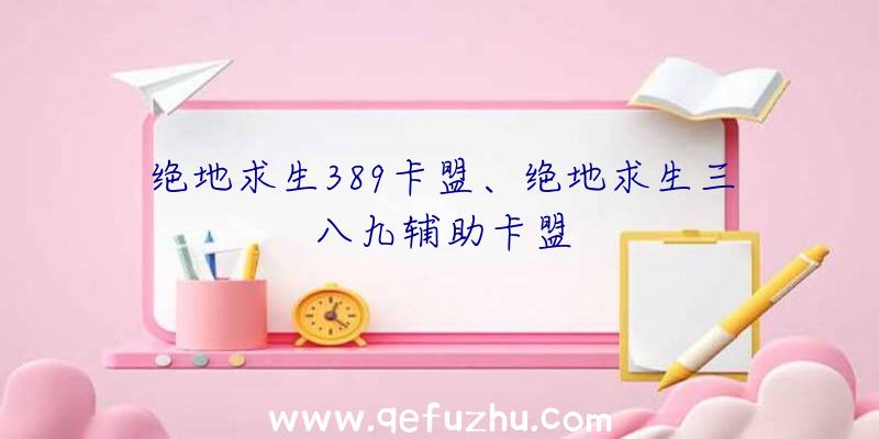 绝地求生389卡盟、绝地求生三八九辅助卡盟