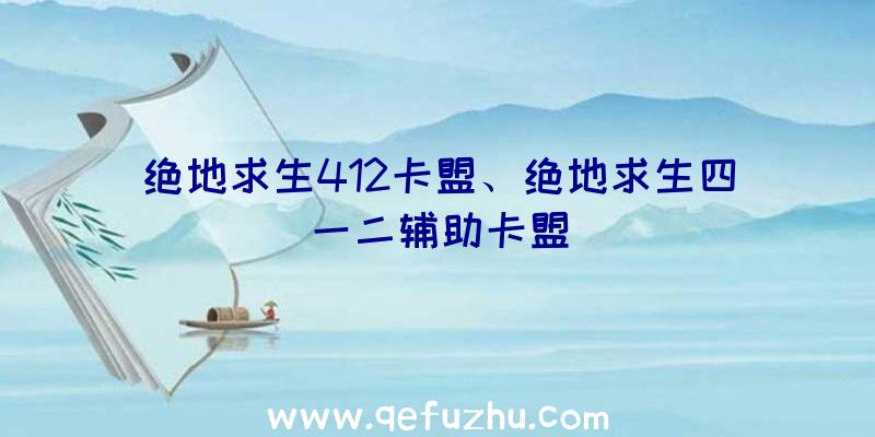 绝地求生412卡盟、绝地求生四一二辅助卡盟