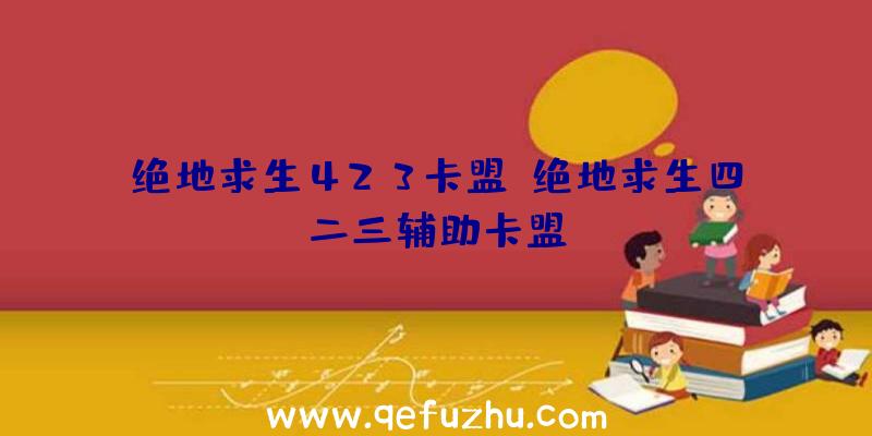 绝地求生423卡盟、绝地求生四二三辅助卡盟