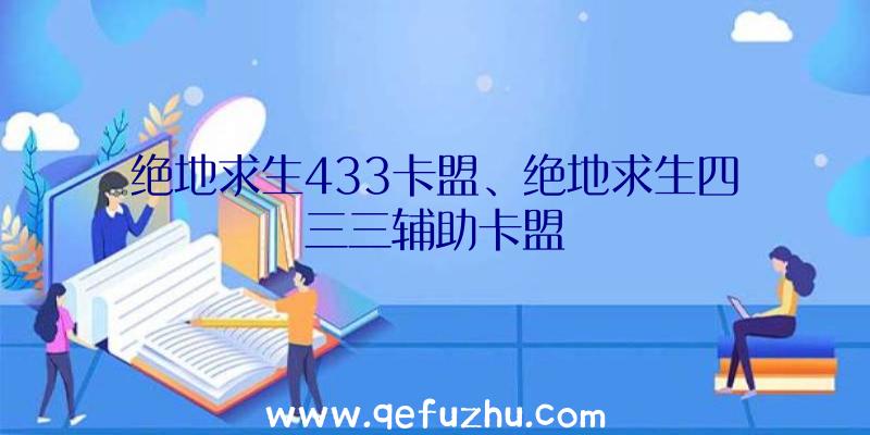 绝地求生433卡盟、绝地求生四三三辅助卡盟