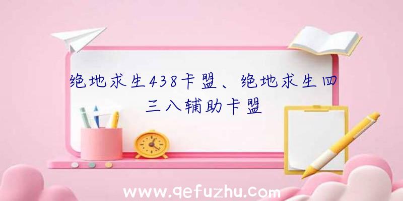 绝地求生438卡盟、绝地求生四三八辅助卡盟