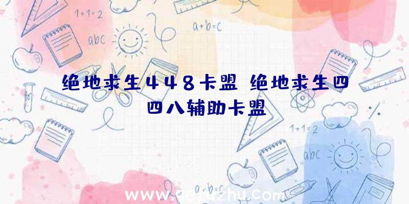 绝地求生448卡盟、绝地求生四四八辅助卡盟