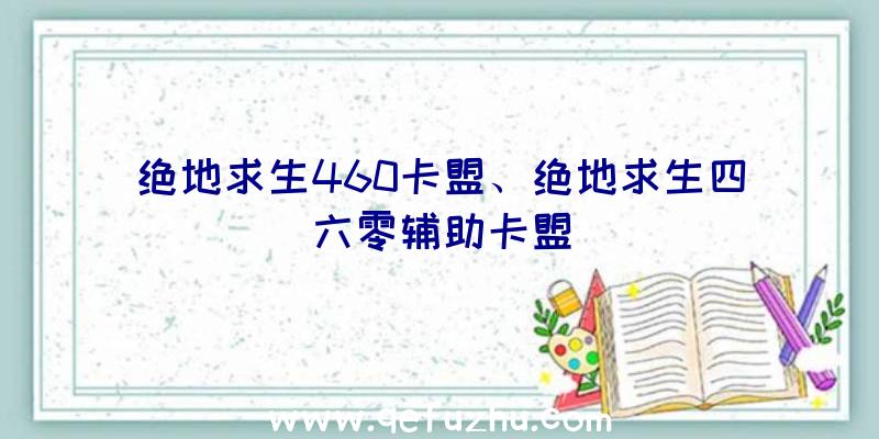 绝地求生460卡盟、绝地求生四六零辅助卡盟