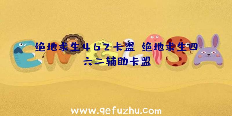 绝地求生462卡盟、绝地求生四六二辅助卡盟