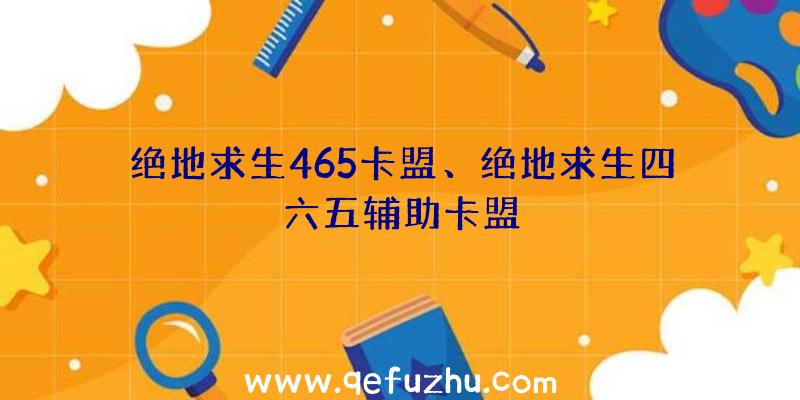 绝地求生465卡盟、绝地求生四六五辅助卡盟