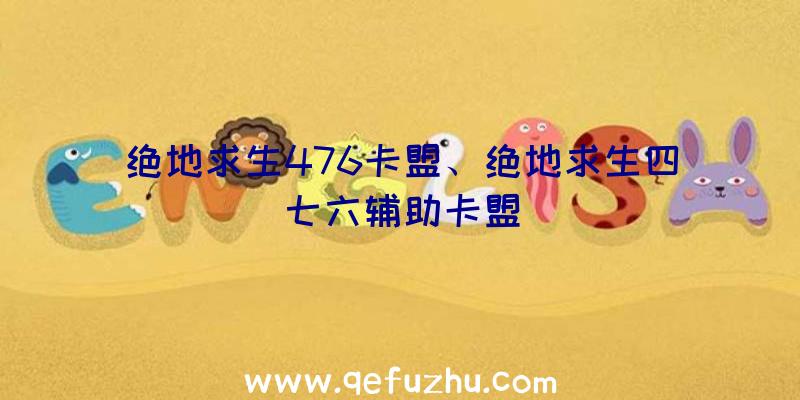 绝地求生476卡盟、绝地求生四七六辅助卡盟