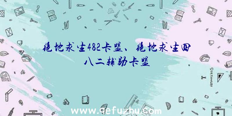 绝地求生482卡盟、绝地求生四八二辅助卡盟