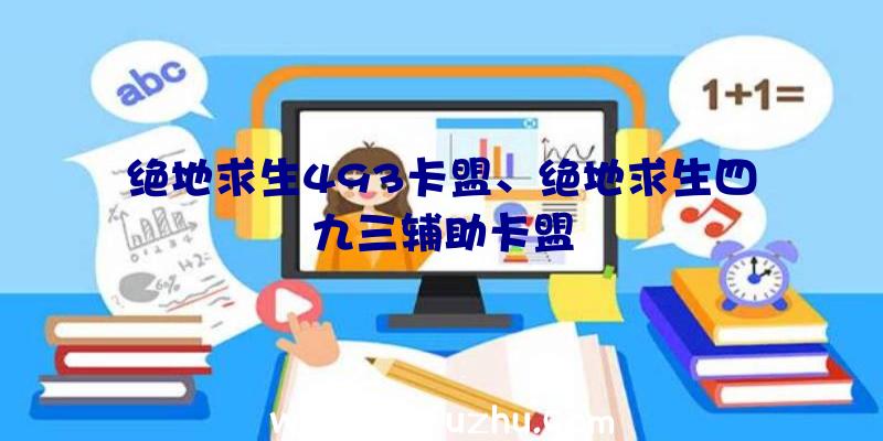 绝地求生493卡盟、绝地求生四九三辅助卡盟