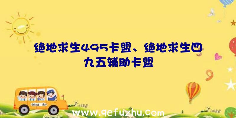 绝地求生495卡盟、绝地求生四九五辅助卡盟