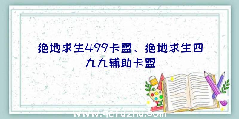 绝地求生499卡盟、绝地求生四九九辅助卡盟