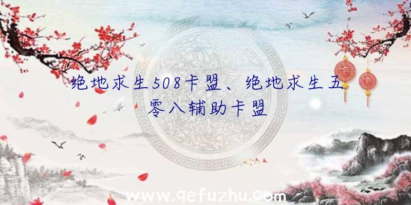 绝地求生508卡盟、绝地求生五零八辅助卡盟