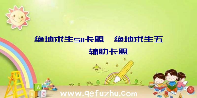 绝地求生511卡盟、绝地求生五一一辅助卡盟