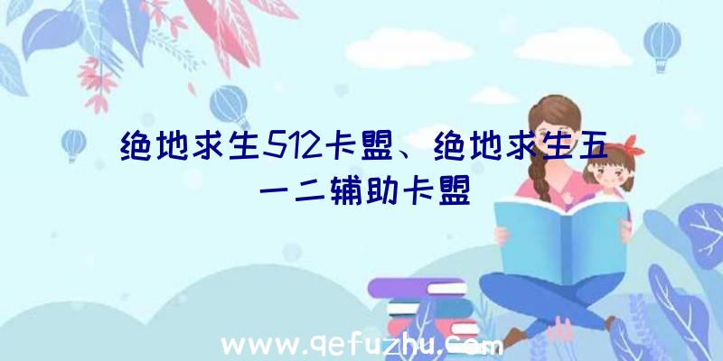 绝地求生512卡盟、绝地求生五一二辅助卡盟