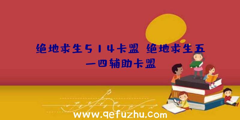 绝地求生514卡盟、绝地求生五一四辅助卡盟