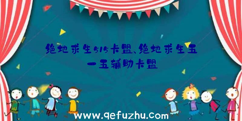 绝地求生515卡盟、绝地求生五一五辅助卡盟