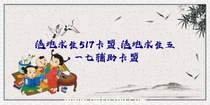 绝地求生517卡盟、绝地求生五一七辅助卡盟