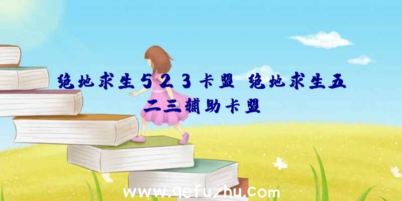 绝地求生523卡盟、绝地求生五二三辅助卡盟