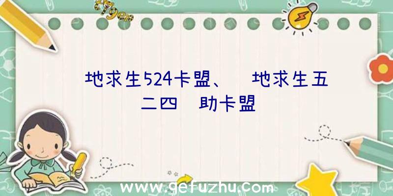 绝地求生524卡盟、绝地求生五二四辅助卡盟