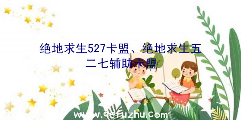 绝地求生527卡盟、绝地求生五二七辅助卡盟