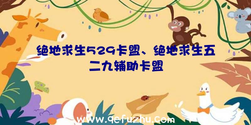 绝地求生529卡盟、绝地求生五二九辅助卡盟