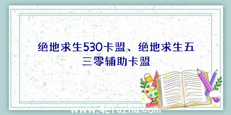 绝地求生530卡盟、绝地求生五三零辅助卡盟