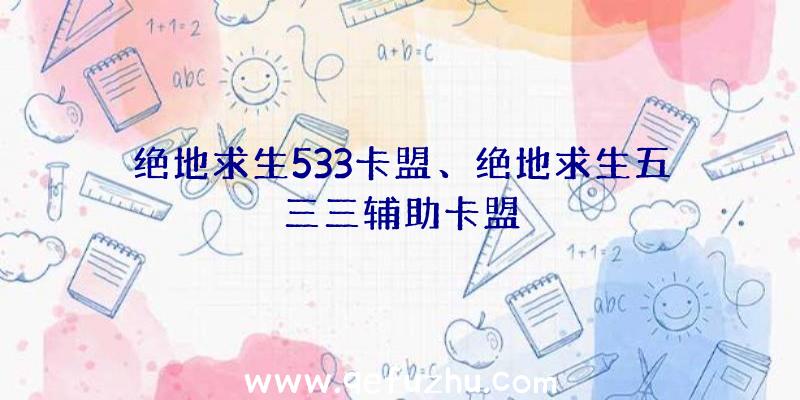 绝地求生533卡盟、绝地求生五三三辅助卡盟