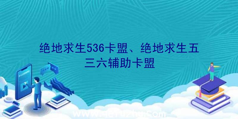 绝地求生536卡盟、绝地求生五三六辅助卡盟