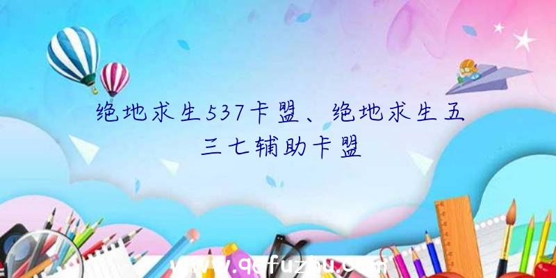 绝地求生537卡盟、绝地求生五三七辅助卡盟