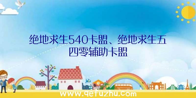 绝地求生540卡盟、绝地求生五四零辅助卡盟