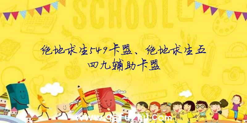 绝地求生549卡盟、绝地求生五四九辅助卡盟