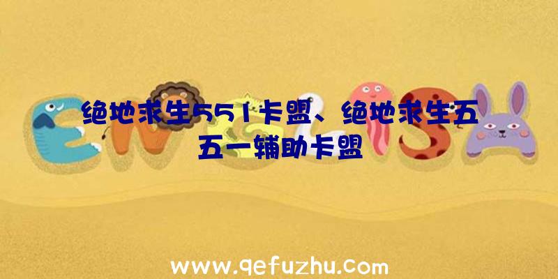 绝地求生551卡盟、绝地求生五五一辅助卡盟