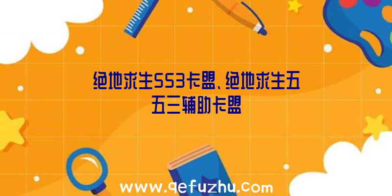 绝地求生553卡盟、绝地求生五五三辅助卡盟