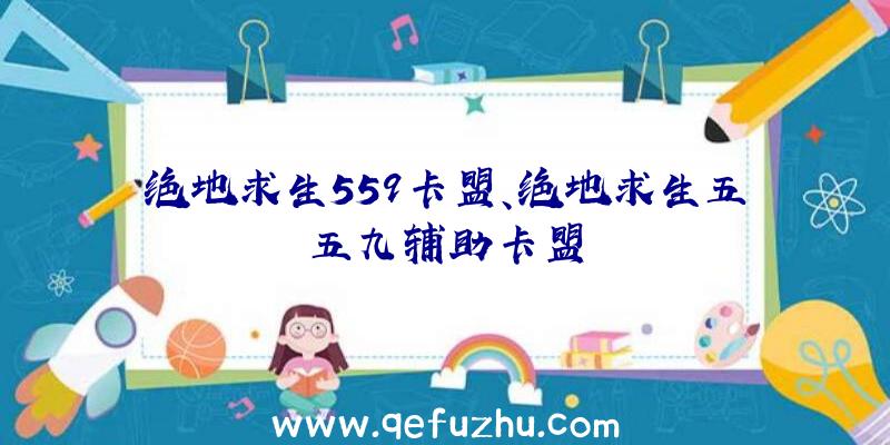 绝地求生559卡盟、绝地求生五五九辅助卡盟