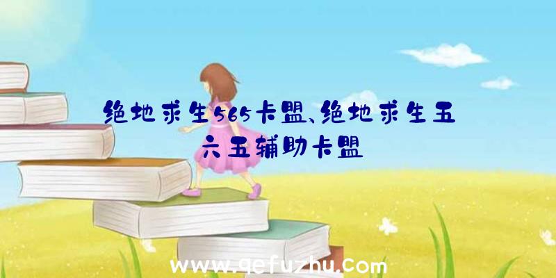 绝地求生565卡盟、绝地求生五六五辅助卡盟