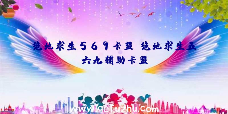 绝地求生569卡盟、绝地求生五六九辅助卡盟