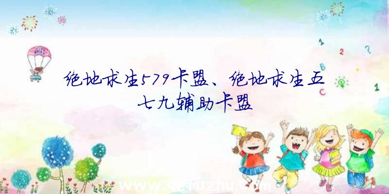 绝地求生579卡盟、绝地求生五七九辅助卡盟