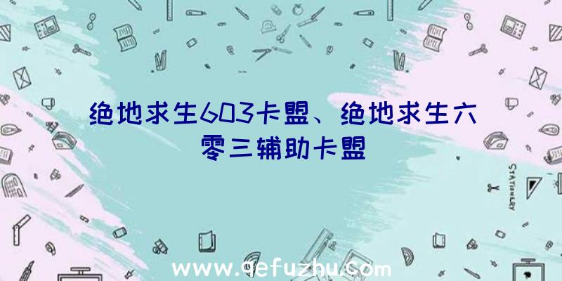 绝地求生603卡盟、绝地求生六零三辅助卡盟