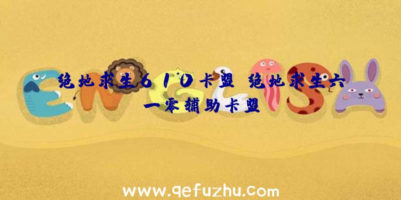 绝地求生610卡盟、绝地求生六一零辅助卡盟