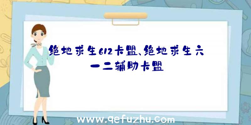 绝地求生612卡盟、绝地求生六一二辅助卡盟