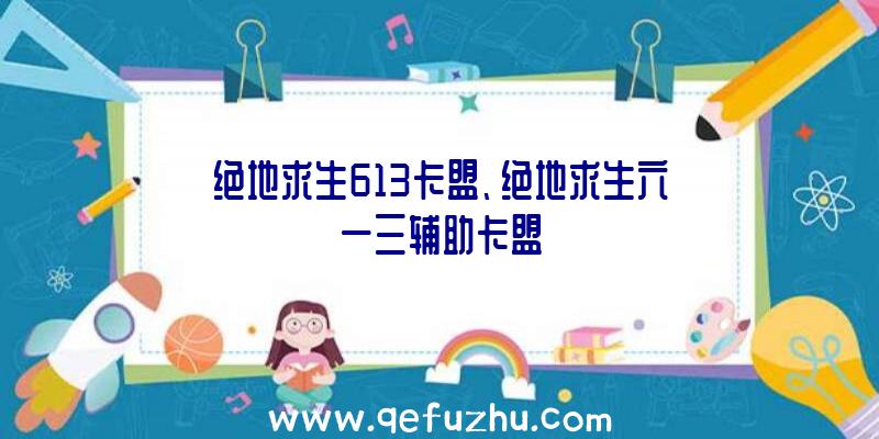 绝地求生613卡盟、绝地求生六一三辅助卡盟