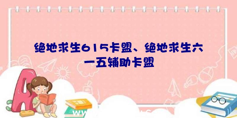 绝地求生615卡盟、绝地求生六一五辅助卡盟