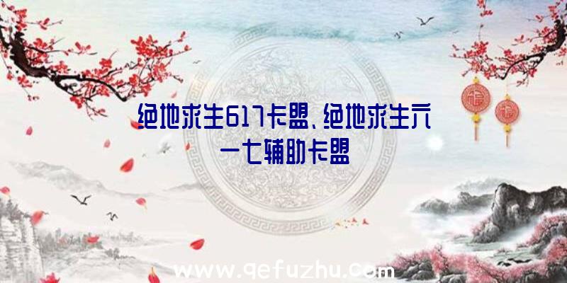 绝地求生617卡盟、绝地求生六一七辅助卡盟