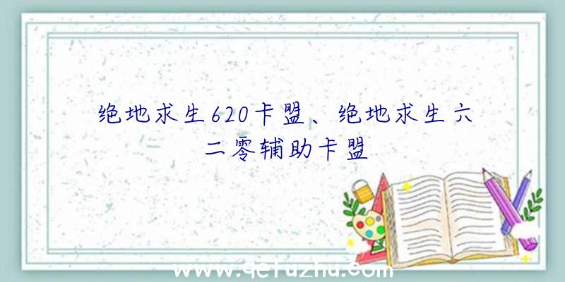 绝地求生620卡盟、绝地求生六二零辅助卡盟