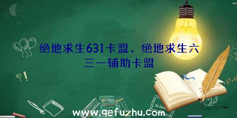 绝地求生631卡盟、绝地求生六三一辅助卡盟